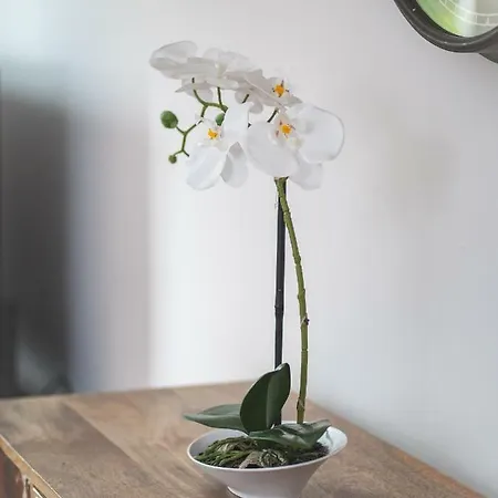 Апартаменты City Apartments Siegburg Studios Зигбург