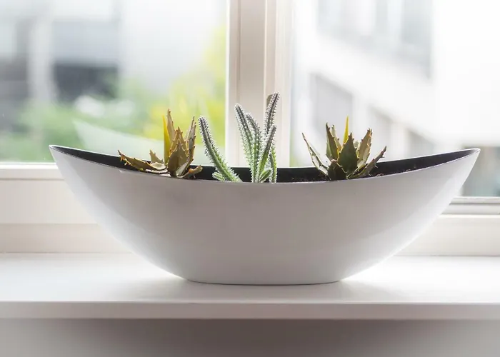 City Apartments Siegburg Studios Apartamento Siegburg